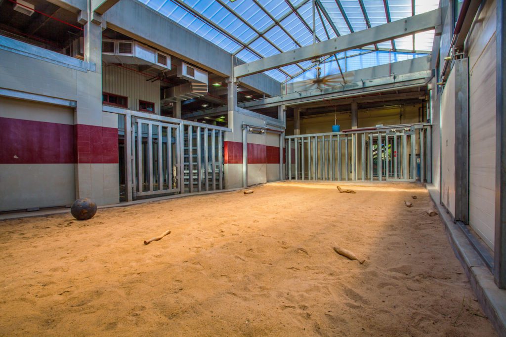 Oklahoma City Zoo Asia Exhibit Elephant Exhibit project images